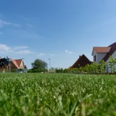 Jak sprawdzić nieruchomości zmarłego i uniknąć nieprzyjemnych niespodzianek