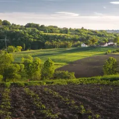 Działka rolno budowlana – co to znaczy i jakie ma konsekwencje?