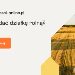 Jak sprzedać działkę rolną bez problemów prawnych i stresu