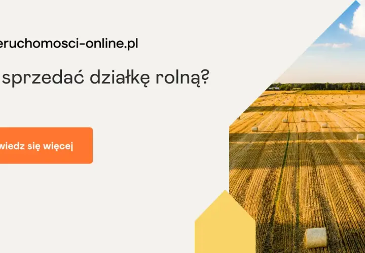 Jak sprzedać działkę rolną bez problemów prawnych i stresu