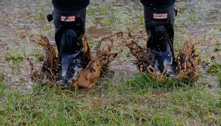 Jak osuszyć działkę? Skuteczne metody na pozbycie się wody